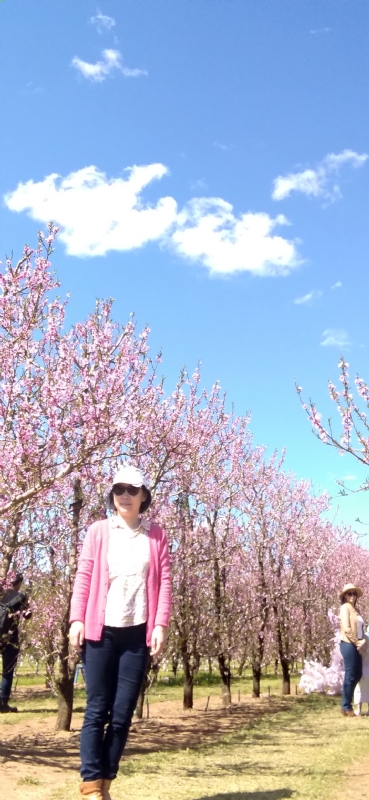 Grace的第二张照片--上海认干亲服务网